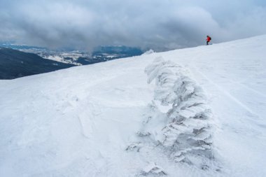 Karla kaplı köknar ağaçları ve dağlar. Güzel kış manzarası