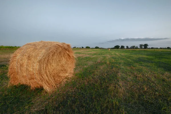 日の出の青空の下緑の畑に干し草の山 霧の朝だ の風景 — ストック写真