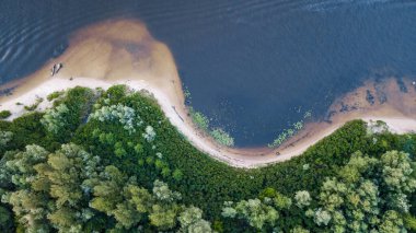 muhteşem bahar (yaz) manzarası. Yeşil orman ve mavi nehrin havadan görünüşü. İHA atışı