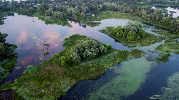 Muhteşem Bahar Yaz Manzarası Yeşil Orman Mavi Nehrin Havadan Görünüşü — Stok fotoğraf