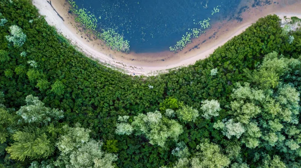 Amazing Spring Summer Landscape Aerial View Green Forest Blue River — Stock Photo, Image