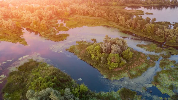 Muhteşem Bahar Yaz Manzarası Yeşil Orman Mavi Nehrin Havadan Görünüşü — Stok fotoğraf