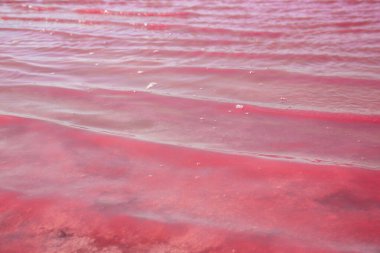 Pembe tuz gölü. şaşırtıcı manzara & doğal arkaplan