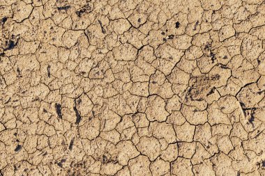 Kuru zeminde yakın plan çatlaklar. Çatlak yüzey