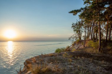 Gün batımında göl kıyısında. doğal arkaplan