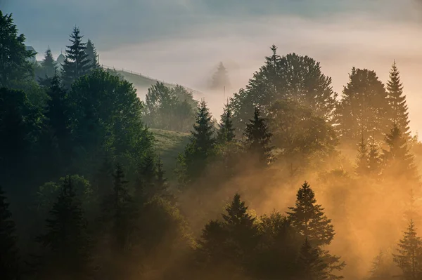 Vue Imprenable Avec Village Haute Montagne Horizon Brouillard Paysage Été — Photo