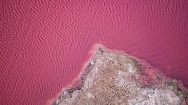 Ukrayna 'daki Pembe Tuz Gölü manzarası. Kırmızı pigmentli bir yosunun alışılmadık rengi. İnanılmaz deniz manzarası.