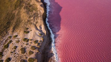 Ukrayna 'daki Pembe Tuz Gölü manzarası. Kırmızı pigmentli bir yosunun alışılmadık rengi. İnanılmaz deniz manzarası.