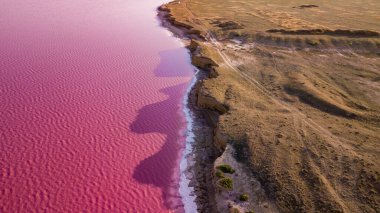 Ukrayna 'daki Pembe Tuz Gölü manzarası. Kırmızı pigmentli bir yosunun alışılmadık rengi. İnanılmaz deniz manzarası.