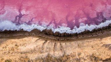 Ukrayna 'daki Pembe Tuz Gölü manzarası. Kırmızı pigmentli bir yosunun alışılmadık rengi. İnanılmaz deniz manzarası.