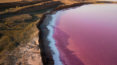 Ukrayna 'daki Pembe Tuz Gölü manzarası. Kırmızı pigmentli bir yosunun alışılmadık rengi. İnanılmaz deniz manzarası.