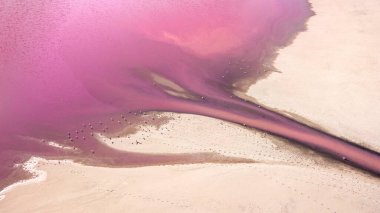 Ukrayna 'daki Pembe Tuz Gölü manzarası. Kırmızı pigmentli bir yosunun alışılmadık rengi. İnanılmaz deniz manzarası.