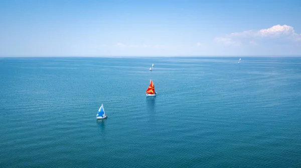 Flygfoto Segelbåtar Regatta Tävling — Stockfoto