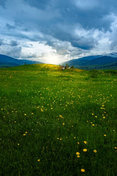Amazing Spring Summer Mountain Landscape Natural Background — Stock Photo, Image