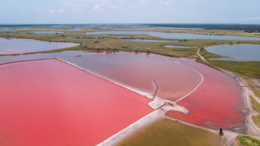 Sakin, harika pembe göl manzarası. İHA atışı. Kuş gözü.