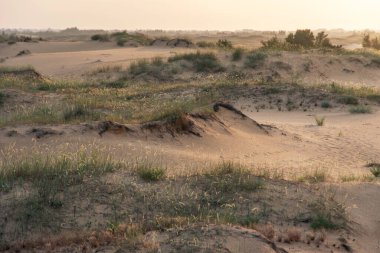 Gün doğumunda çöl manzarası. yaz arkaplanı