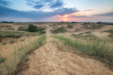 Gün doğumunda çöl manzarası. yaz arkaplanı