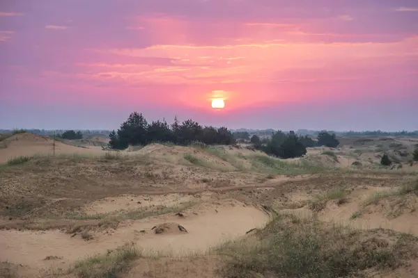 Wüstenlandschaft Bei Sonnenaufgang Sommer Hintergrund — Stockfoto