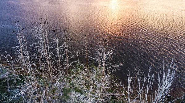 Ongelooflijk Landschap Meerkust Bij Zonsondergang Vanuit Lucht Bekeken — Stockfoto