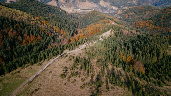 Amazing Aerial View Colorful Autumn Trees Forest Mountaines Drone Shot — Photo