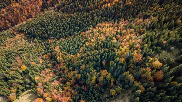 山中五彩缤纷的秋天树木 的惊人的空中景观 无人驾驶飞机射击 — 图库照片