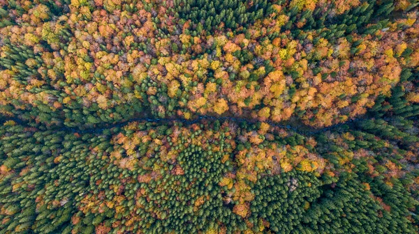 Geweldig Uitzicht Vanuit Lucht Kleurrijke Herfstbomen Bos Bergen Drone Schot — Stockfoto