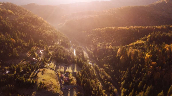 Amazing Aerial View Colorful Autumn Trees Forest Mountaines Drone Shot — Photo