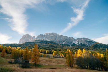 Dağlarda güzel bir altın sonbahar. Doğal arka plan. Dolomitler Alpler, İtalya. Sonbahar manzarası