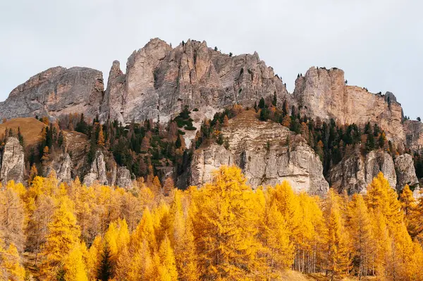Vacker Gyllene Höst Bergen Naturlig Bakgrund Dolomiterna Alperna Italien Höst — Stockfoto