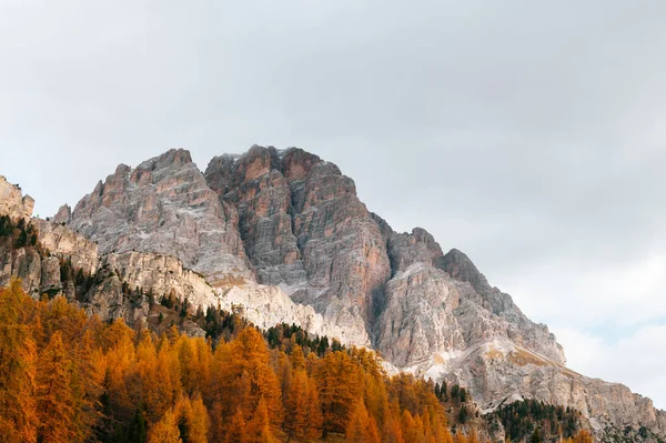 Bel Automne Doré Dans Les Montagnes Fond Naturel Dolomites Alpes — Photo