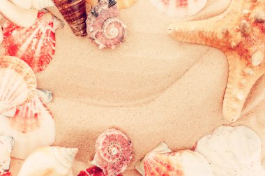Vintage yaz background.closeup kabuk pl ile kumlu plaj