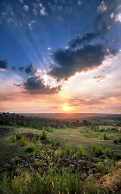 sunrise tebeşir dağ, çiçek ve güneş yaz peyzaj