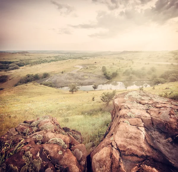 Летний пейзаж с деревом, камнем и пышным небом, Instagram ef — стоковое фото