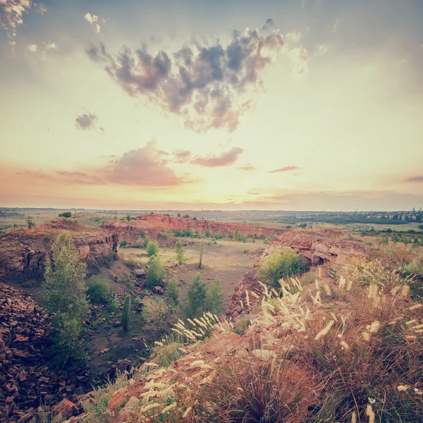 Vintage summer landscape with tree, stone and buitiful sky, inst — Stock Photo, Image