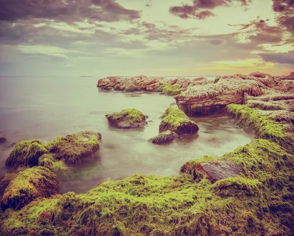 Vintage summer landscape on sunrise with stones of moss and amaz — Stock Photo, Image