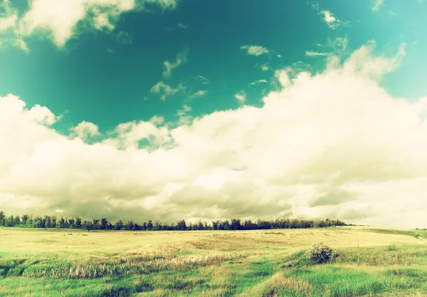 Vintage field of grass and trees on horizon with cloudy sky,  na — Stock Photo, Image