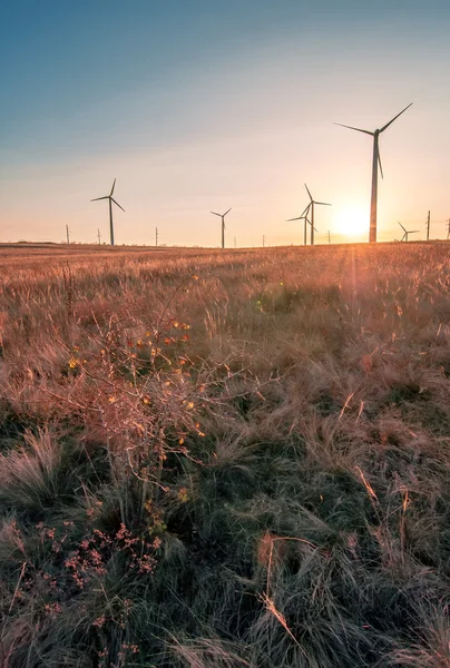 Silhouette di un mulino a vento su un campo rurale al tramonto, bac naturale — Foto Stock