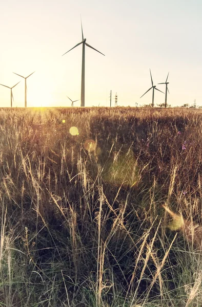 Silueta vintage a unei mori de vânt pe un câmp rural la apus de soare, Nat — Fotografie, imagine de stoc