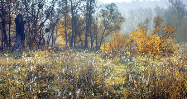 Φθινοπωρινό τοπίο νωρίς το πρωί, το φυσικό περιβάλλον — Φωτογραφία Αρχείου
