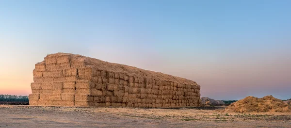 Höstack efter skörd av vete, naturliga panoramautsikt bak — Stockfoto