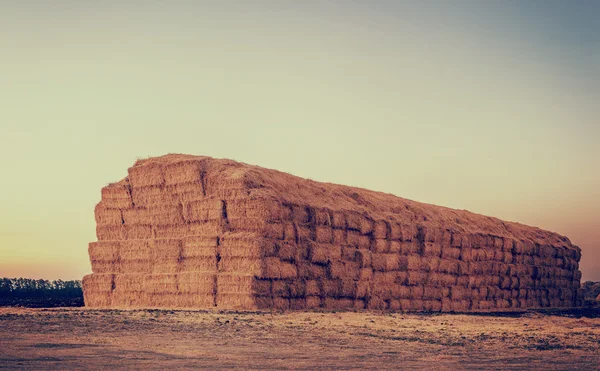 Haystack after the harvest of wheat, natural  background with in — Stock Photo, Image