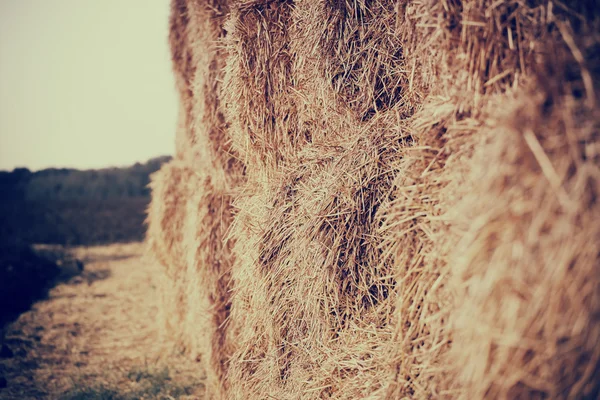 Крупный план стог сена после сбора урожая пшеницы, натуральная спинка — стоковое фото