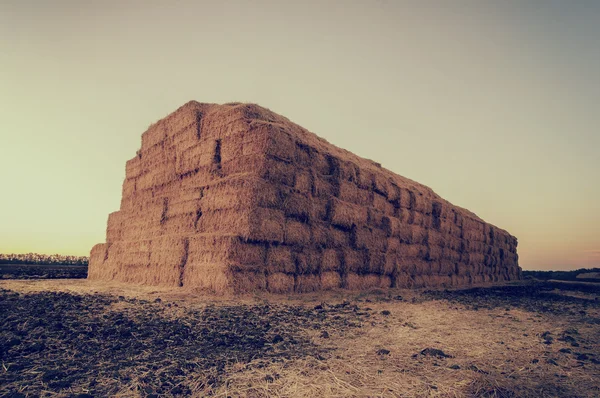 Haystack after the harvest of wheat, natural background with ins — Stock Photo, Image