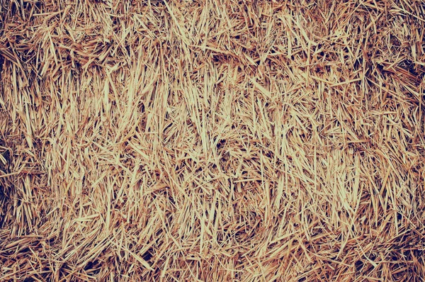 Grosse botte de foin après la récolte de blé, backgroun naturel — Photo