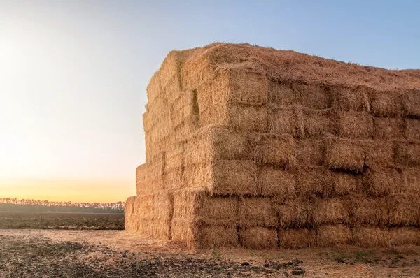 Autumn or summer landscape with haystack after the harvest of wh — Stock Photo, Image