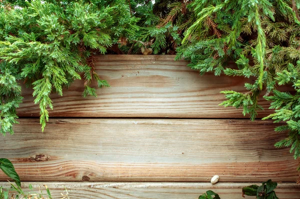 Albero di Natale su uno sfondo di legno — Foto Stock