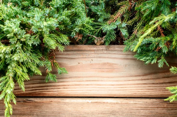 Albero di Natale su uno sfondo di legno — Foto Stock