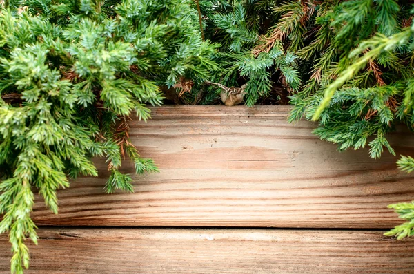Ahşap bir arka planda Noel ağacı