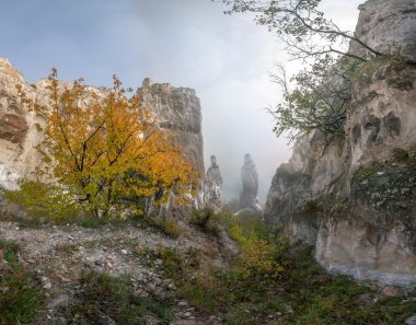 renkli ağaç üzerinde bir sisli tebeşir mountaine sonbahar manzarası