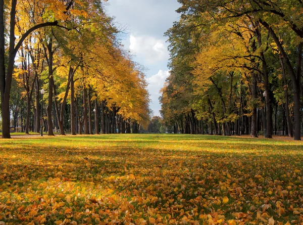 Schöne romantische Allee in einem Park mit bunten Bäumen, Herbst — Stockfoto